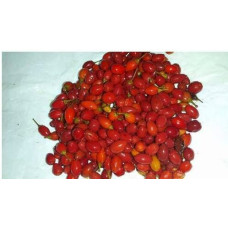 Семена drug lord coca seeds